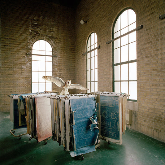 Maureen O'Connor - Imprint Blueprint