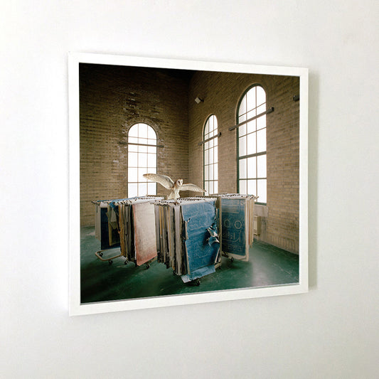Maureen O'Connor - Imprint Blueprint