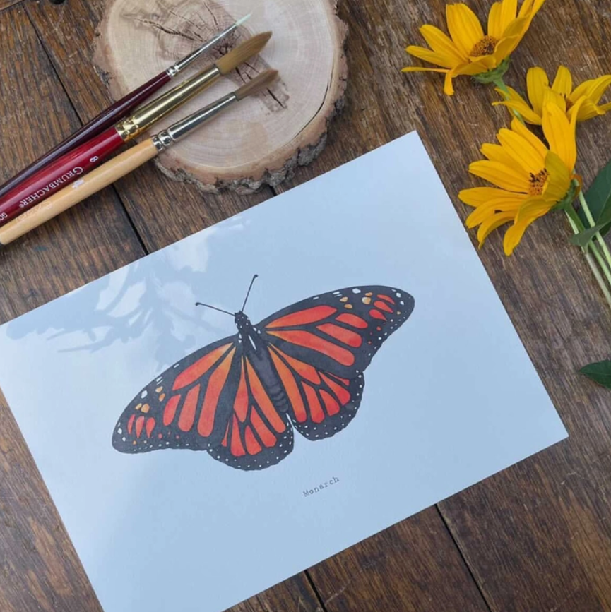 Beam Paints Monarch Paint-by-Numbers Greeting Card