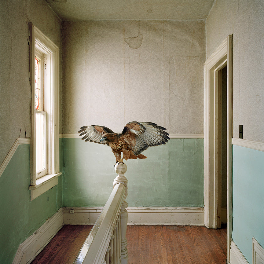 Maureen O'Connor - Reverence