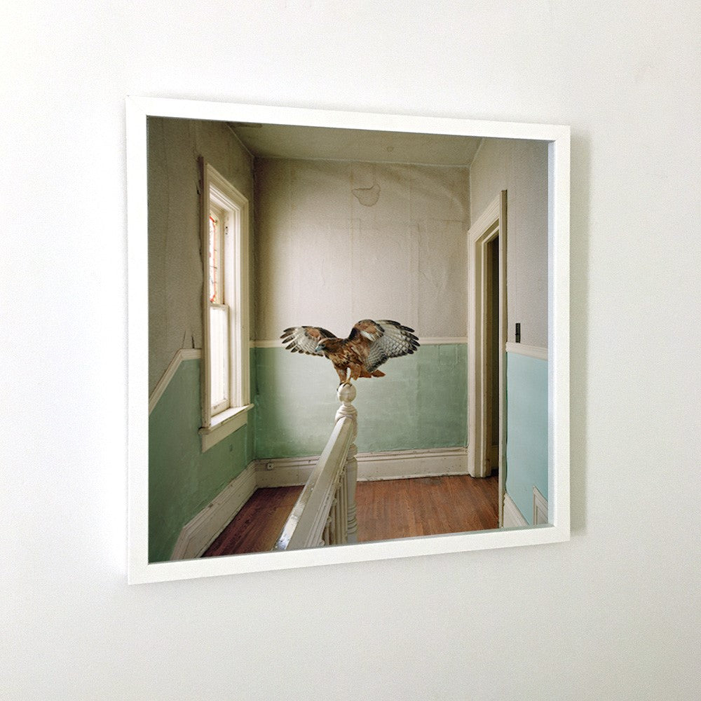 Maureen O'Connor - Reverence
