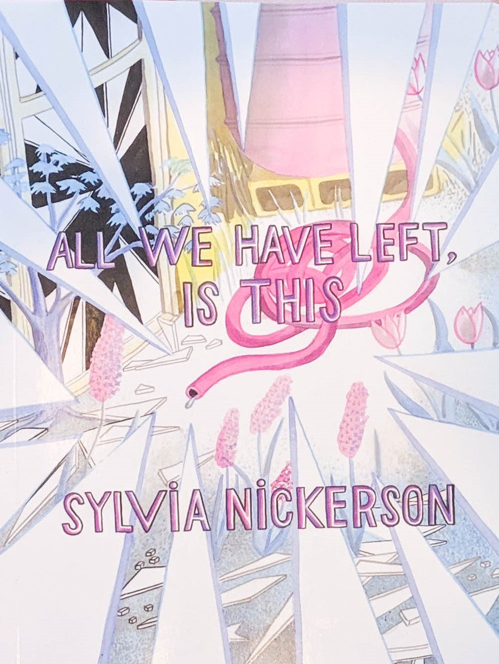 all we have left is this, sylvia nickerson, sylvia nickerson all we have left is this book, hamiilton artist, 