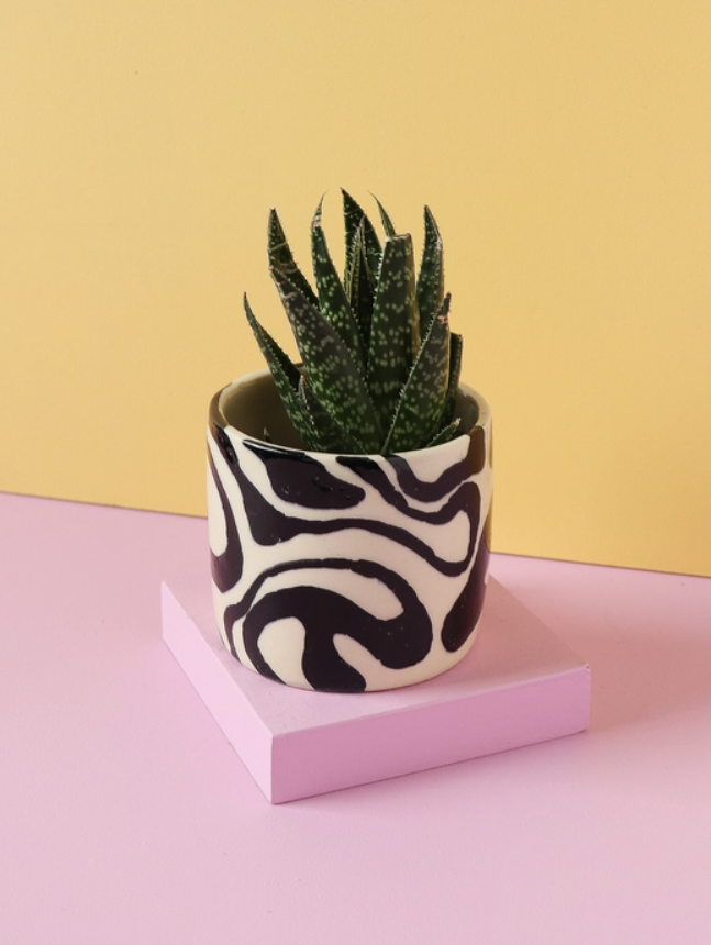 Small Ceramic Planter in Swirl