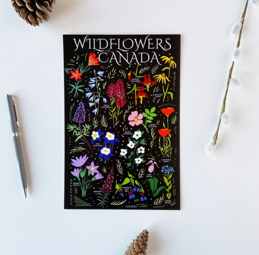Wildflowers of Canada Postcard